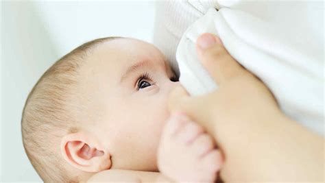 Campa A Municipal Por La Semana Mundial De La Lactancia Materna San