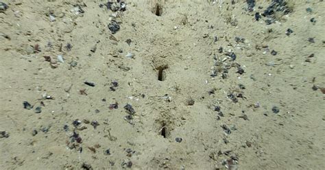 Strange Holes Discovered On The Atlantic Ocean Floor Have Perplexed