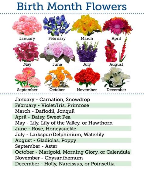 Chart Of Birth Month Flowers