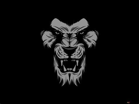 Lion Angry Face Wallpaper