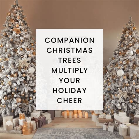 Companion Christmas Trees Multiply Your Holiday Cheer Christmas Central