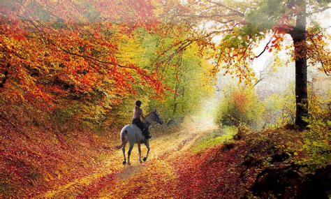 Misty Morning Autumn Horseback Ride Photograph By Sandi Oreilly Pixels