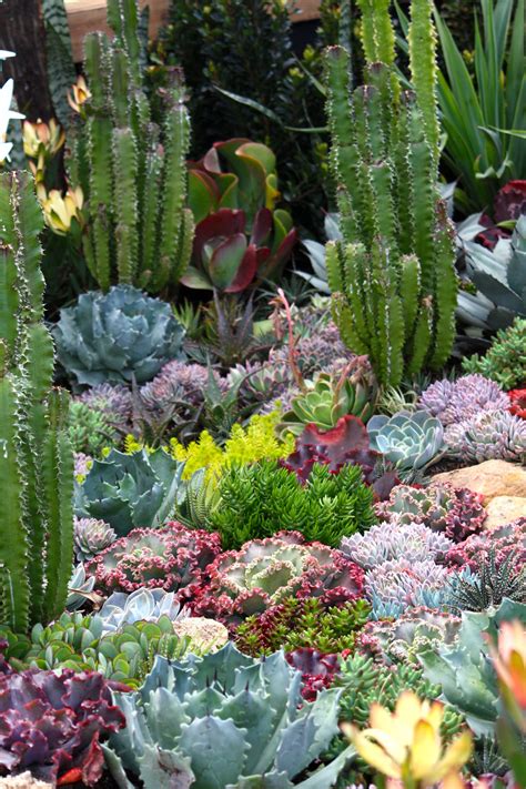 The Australian Garden Show Sydney Showcased The Latest Spring Gardening