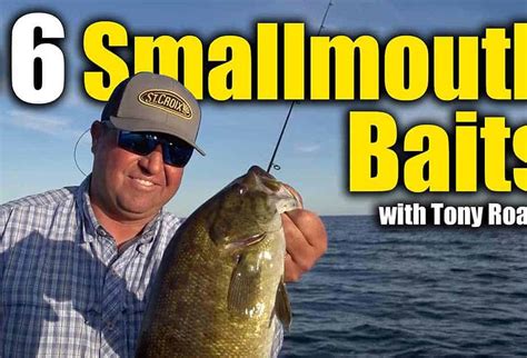 Top 6 Smallmouth Bass Baits Anglingbuzz