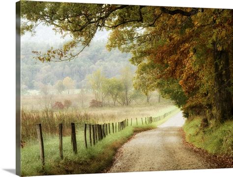 Autumn On A Country Road Wall Art Canvas Prints Framed Prints Wall