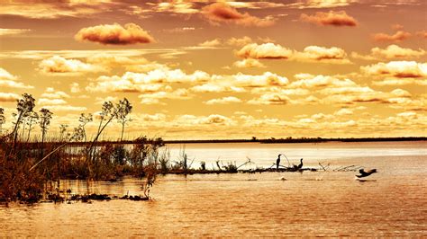 Ibera Wetlands Holidays Argentina Steppes Travel