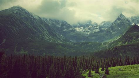 Green Mountains Clouds Landscapes Nature Trees Pine Trees Photo Filters