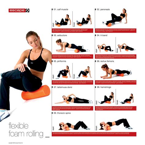 Oefeningen Met Elastiek Foam Roller Fitness