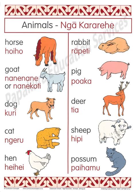 These maori number recognition activity mats, paired with dry erase pockets, will surely get your tamariki counting the stars and learning numbers in te reo at the same time. 27 best images about Maori Language Week! on Pinterest ...