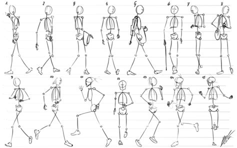 Simplified Human Body Proportions Poses Movement By Podkowa97 On