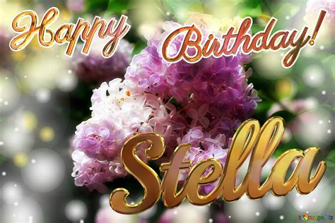 Stella Happy Birthday Free Image 2771