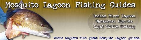 Mosquito Lagoon Fishing Guide Reports Fish Fishing Guide Indian