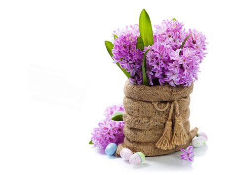 Picture Easter Egg Flower Hyacinths 1920x1440