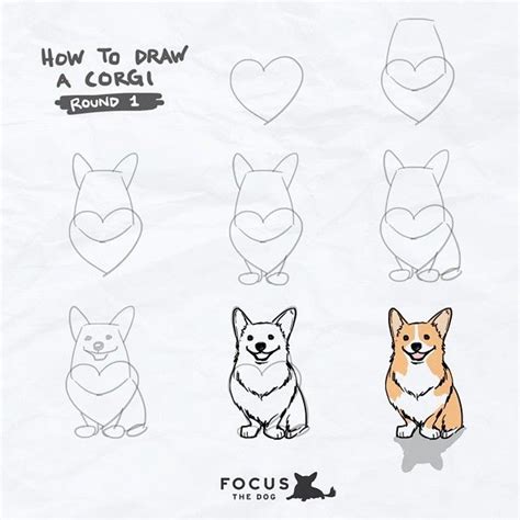 Want To Learn How To Draw A Corgi Well Now What Are You Waiting For