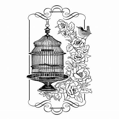 Birdcage Individuals Crafty Stamp Rubber Floral Coloring