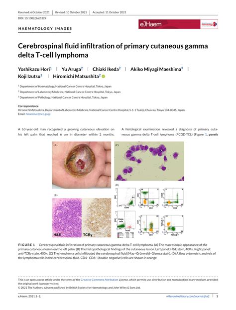 Pdf Cerebrospinal Fluid Infiltration Of Primary Cutaneous Gamma Delta