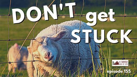 155: Don't Get Stuck - A Farmish Kind of Life