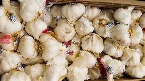 Make Garlic Last Longer Bozeman Mt Groeat