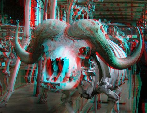 126 Best Images About Anaglyph Images 3d Effect On Pinterest Apps