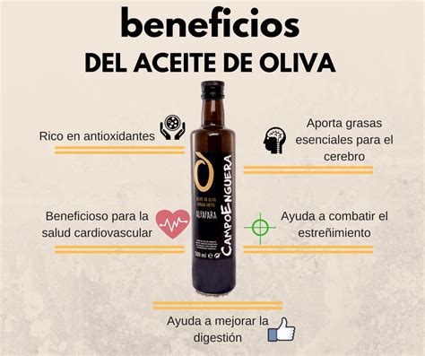 infografía los beneficios del aceite de oliva revista de vinos y licores