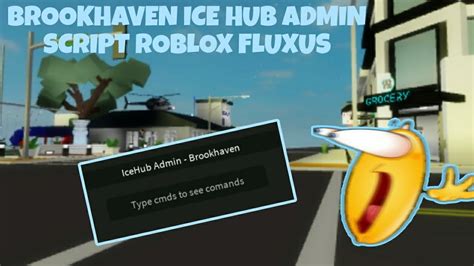 Ice Hub Brookhaven Admin Script Roblox Fluxus Youtube