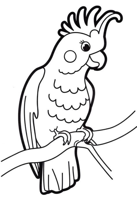 New free booklets to download. Coloring Pages for Kids 4 Years Old Free Printable
