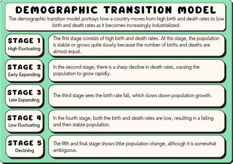 All 5 Demographic Transition Model Stages Explained 2024