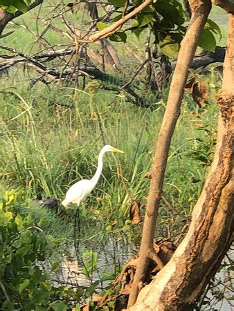 Keoladeo National Park Bharatpur What To Know Before You Go With Photos Tripadvisor