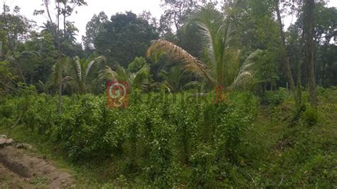 Valuable Land For Sale In Panadura