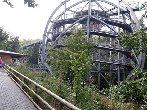 Įmonės haus der natur veiklos vieta: Baumwipfelpfad Bad Harzburg, Бад-Харцбург: лучшие советы ...