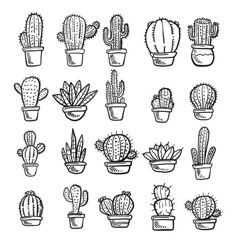 Vector Of Cactus And Succulent Doodle Illustration Set 275188 Vector