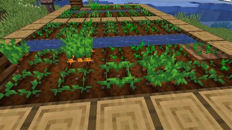 How To Get Every Crop Seed In Minecraft