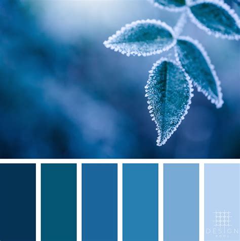Winter Color Palette Seeds Color Winter Color Palette Blue Colour