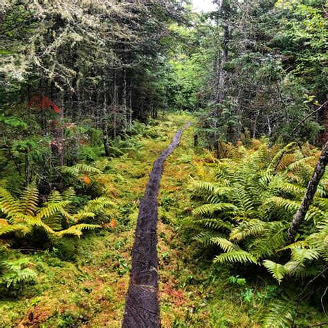 The Superior Hiking Trail A 310 Mile Path Along The North Shore Of