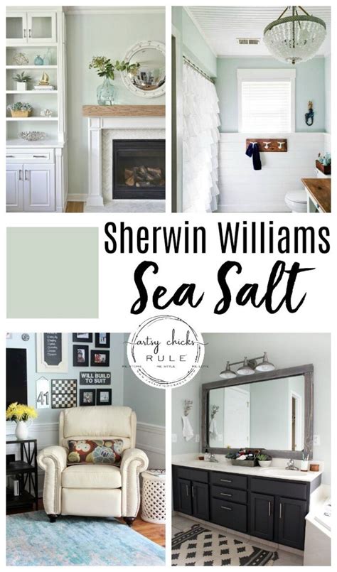 Sherwin Williams Sea Salt Gorgeous Coastal Neutral Sea Salt