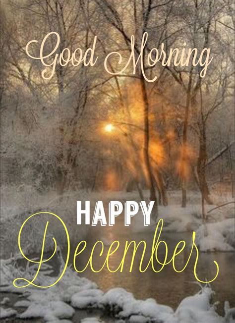 Happy December 🌲 Good Morning Happy December Have A Happy Day