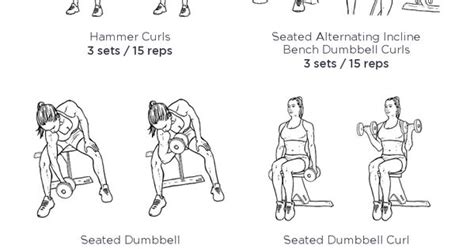 Build Sexier Biceps For Women Inspiration And Dumbbell Bicep Workout