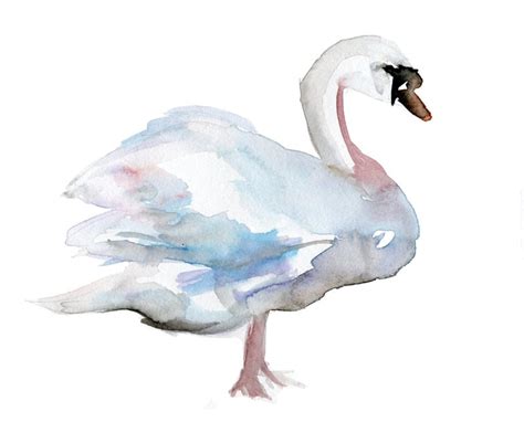 Swan Watercolor Painting Original Painting On Cardboard 8 X
