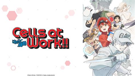Crunchyroll Crunchyroll To Stream Cells At Work Season 2 And Cells