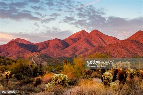 Arizona Desert Mountain Stock Fotos Und Bilder Getty Images