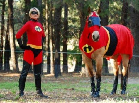 Top 10 Amazing Horse And Rider Costume Ideas In 2020 Horse Costumes
