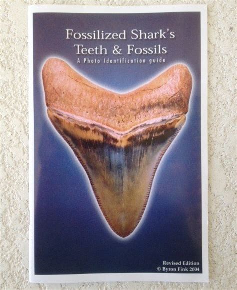 However, the great white shark is universally known by its scientific name of carcharodon carcarias around the world. Fossilized Shark's Teeth and Fossils | 772-539-7005 Fossil ...