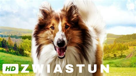 Lassie WrÓĆ Oficjalny Zwiastun Filmu Cda