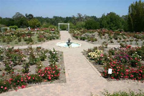 South Coast Botanic Garden Fasci Garden