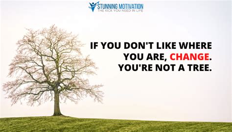 You Are Not A Tree Quote Stunning Motivation