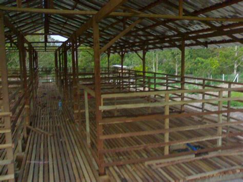 People interested in kandang kambing also searched for. Cantik - Kandang Kambing Usrah | Usrah Agro Farm | Flickr