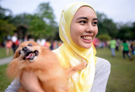 But many malaysians come out in favor of the event, posting positive comments on social media and news outlets. Want to Touch a Dog? In Malaysia, It's a Delicate Subject ...