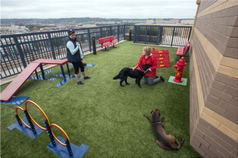 Synthetic Turf Rooftop Dog Park Attracts Apartment Customers | Dog park
