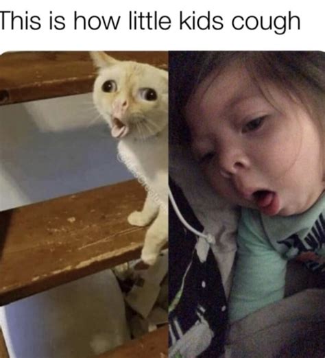 How Little Kids Cough Comparison How Little Kids Cough Know Your Meme