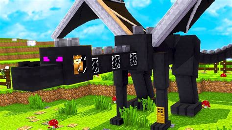 How To Live Inside An Ender Dragon In Minecraft Youtube